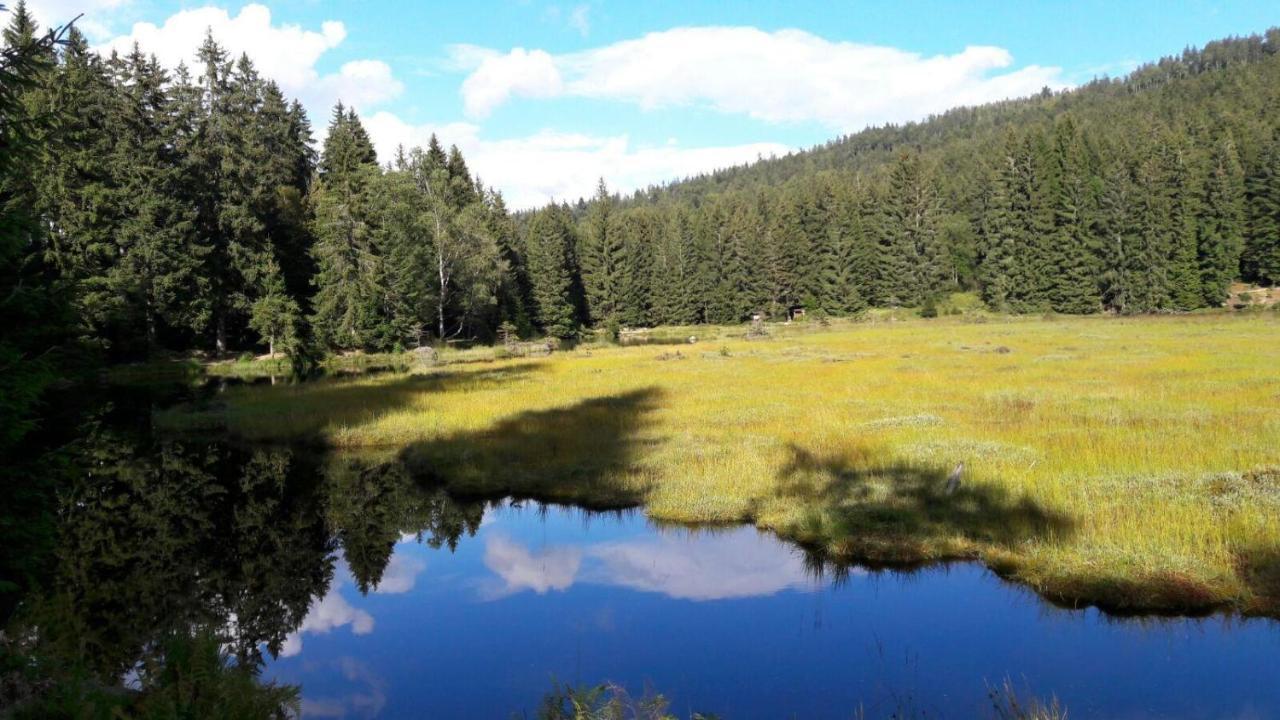 Ferienwohnung-Panoramablick-4 Bodenmais Εξωτερικό φωτογραφία
