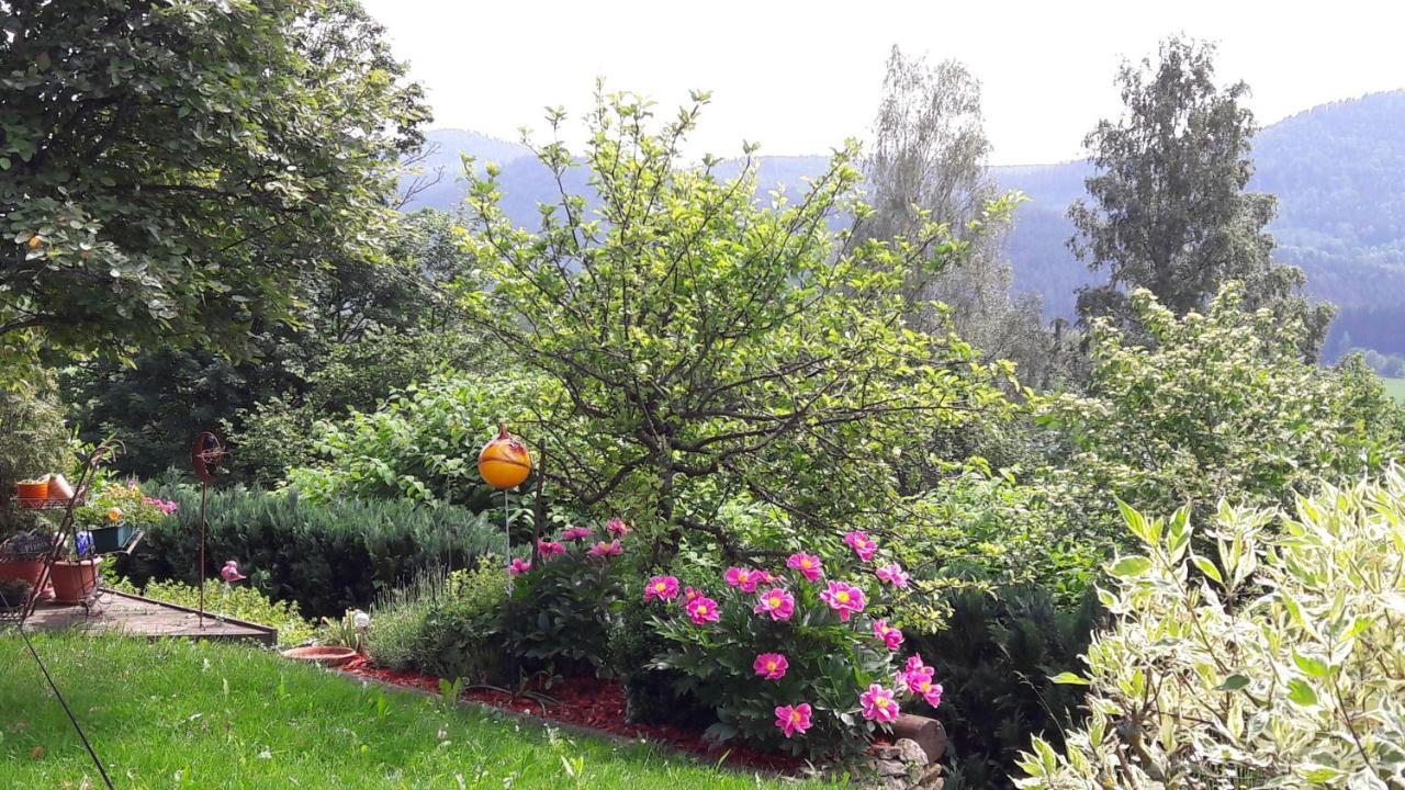 Ferienwohnung-Panoramablick-4 Bodenmais Εξωτερικό φωτογραφία